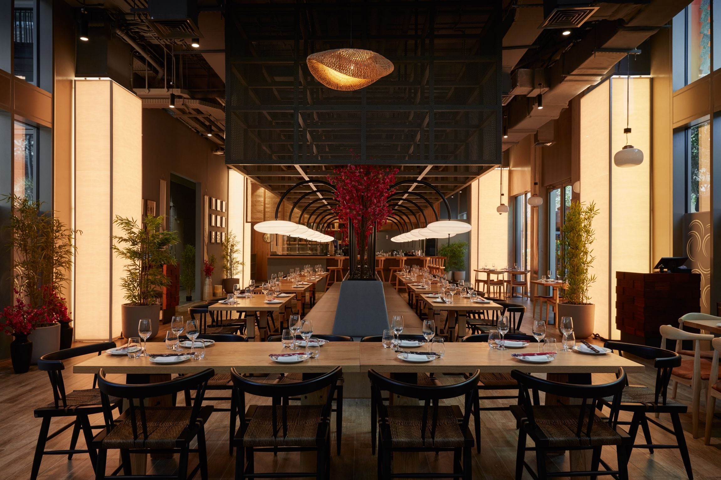 Restaurant Construction and Layout
